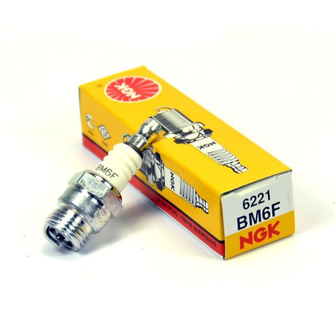 BUJIA NGK BM6F