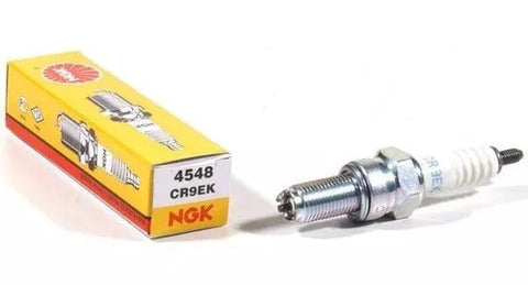 BUJIA NGK CR10EK